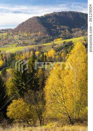 Autumn landscape inMala Fatra mountains, Slovakia Autumn landscape inMala Fatra mountains, Slovakia 86129004