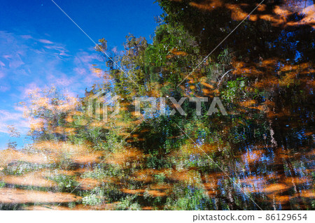 Abstract scene of tree and sky reflecting on water surface. Abstract scene of tree and sky reflecting on water surface. 86129654