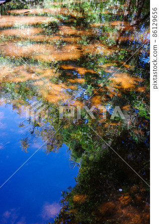 Abstract scene of tree and sky reflecting on water surface. Abstract scene of tree and sky reflecting on water surface. 86129656