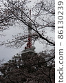 宇都宮塔和櫻花 86130239