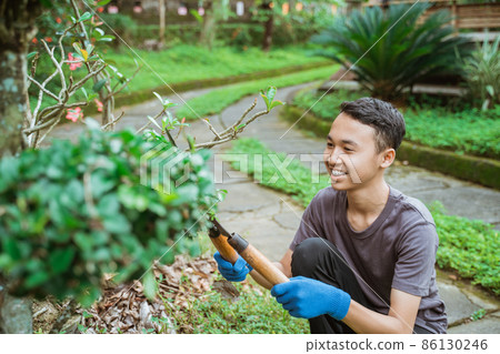 Smiling boy wearing gloves using plant shears to trim leaves Smiling boy wearing gloves using plant shears to trim leaves 86130246