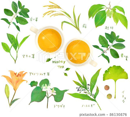 植物葉保健茶和茶杯套裝插畫素材，用於放鬆和美容 86130876
