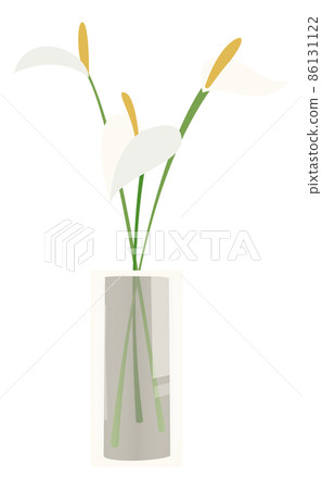 White flowers in vase. Peace lily green branches 86131122