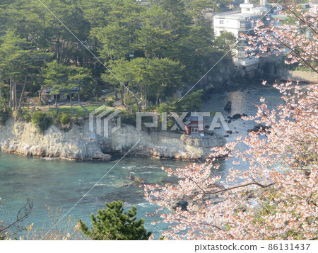 Izuramisaki Park and Sakura 86131437