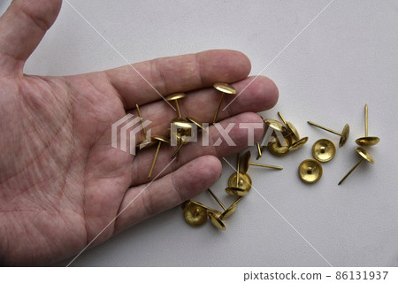 Golden Buttons Nails for Furniture repair 86131937