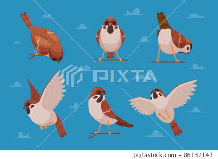 Sparrows. Cartoon funny birds in various poses chirp characters nature animals exact vector cartoon illustrations of sparrows 86132141