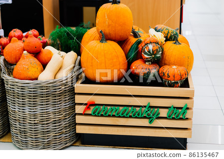 Pumpkins and different vegetables in a store background Pumpkins and different vegetables in a store background 86135467