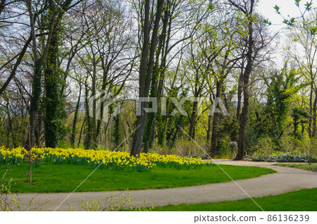 New Garden District in Potsdam New Garden District in Potsdam 86136239