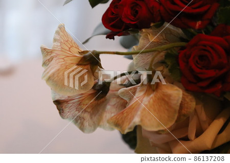 Fashionable interior terrier to decorate a vase with a purple bouquet A fashionable interior terrier to decorate a vase with a purple bouquet 86137208