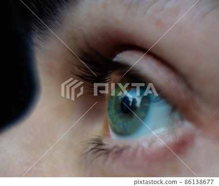 closeup of green human eye and eyebrow, iris and eyelashs 86138677