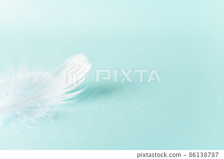 Light blue background of white feathers 86138787