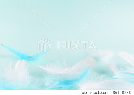 Light blue background with white feathers and blue feathers Light blue background with white feathers and blue feathers 86138788