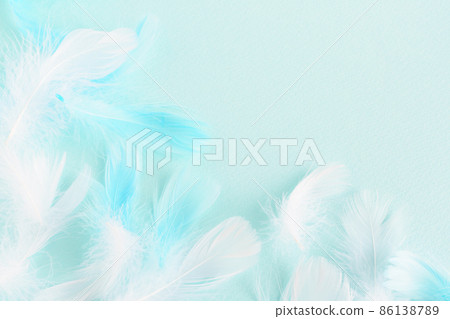 Light blue background with white and blue feathers Light blue background with white and blue feathers 86138789