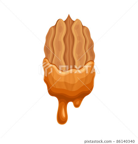 Pecan in liquid caramel. Nutritious natural sweet dessert vector illustration 86140340