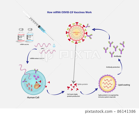 mRNA Vaccine SARS-Cov-2 vector texture. Vaccination protection, medicine healthcare concept vector illustration. Space for text. mRNA Vaccine SARS-Cov-2 vector texture. Vaccination protection, medicine healthcare concept vector illustration. Space for text. 86141386