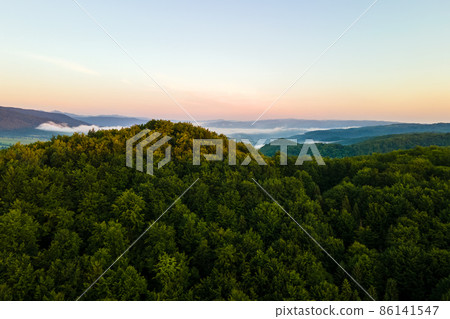 Vibrant foggy evening over dark forest trees at bright summer sunset. Amazingl scenery of wild woodland at dusk. 86141547