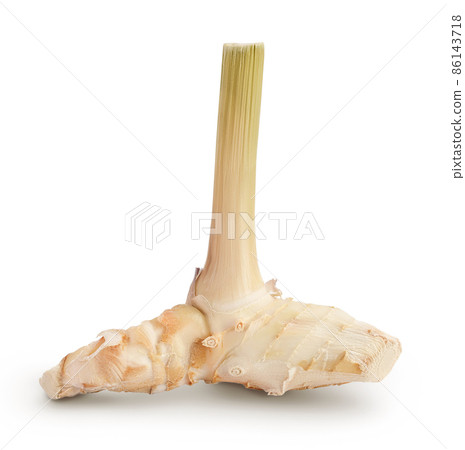 Fresh galangal root isolated on white background with clipping path and full depth of field. Fresh galangal root isolated on white background with clipping path and full depth of field. 86143718