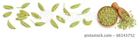 Dried fennel seeds isolated on white background with clipping path. Top view. Flat lay. Set or collection Dried fennel seeds isolated on white background with clipping path. Top view. Flat lay. Set or collection 86143752