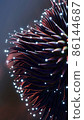 Abstract tentacles with glowing dots 86144687