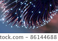 Abstract tentacles with glowing dots 86144688