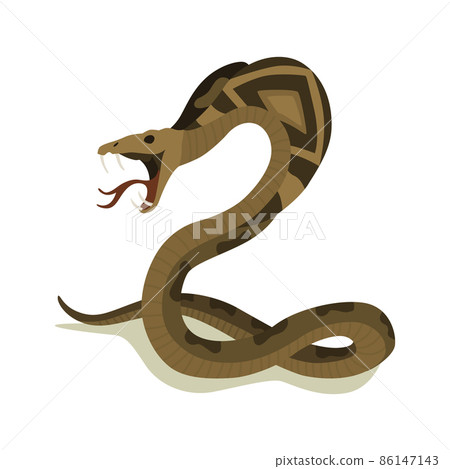 crawling animals snake