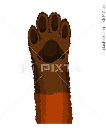 Animal paw. Animalistic foot of dog. Funny fur pet. Cute cartoon animal body part isolated on white background Animal paw. Animalistic foot of dog. Funny fur pet. Cute cartoon animal body part isolated on white background 86147153