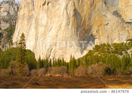 El Capitan 101 86147978