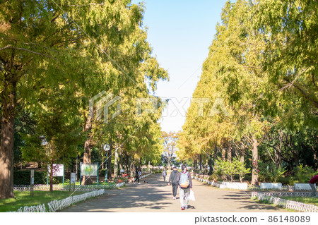 創價公園秋景 / 埼玉縣 86148089