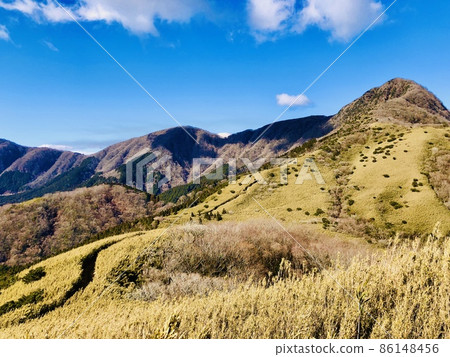 通往足柄山的山路 86148456