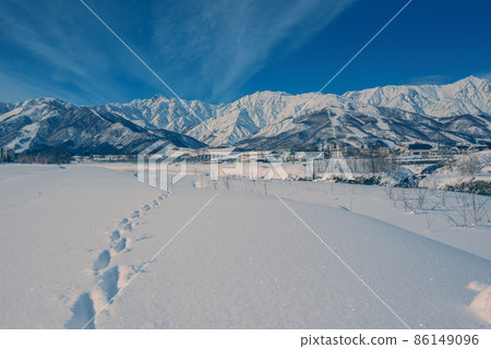 Animal footprints remaining in the snow field and the magnificent Ushirotateyama mountain range [Hakuba-mura, Kitaazumi-gun] 86149096