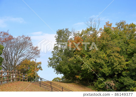 Autumn park Autumn park 86149377