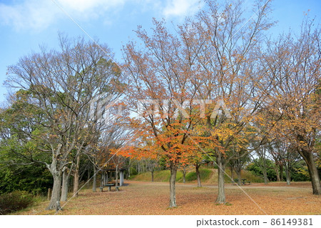 秋天的公園 秋天的公園 86149381