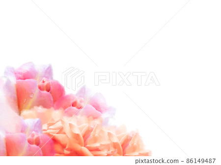 Bouquet of roses 86149487