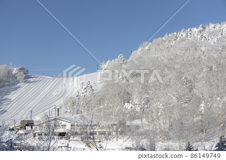 Shiga Kogen in winter Shiga Kogen in winter 86149749