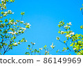 Haku Mokren 86149969