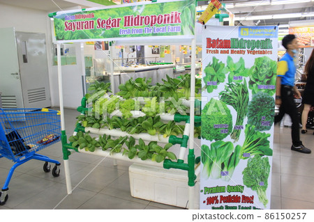 Easy access from Singapore: Superb beach and exquisite gourmet food on Batam Island, Indonesia Easy access from Singapore: Superb beach and exquisite gourmet food on Batam Island, Indonesia 86150257