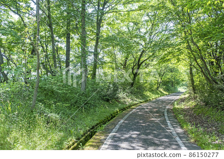 Hiruzen高原初夏和新鮮綠色騎行的形象 86150277