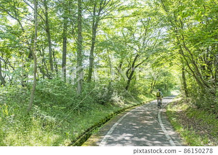 Hiruzen高原初夏和新鮮綠色騎行的形象 Hiruzen高原初夏和新鮮綠色騎行的形象 86150278