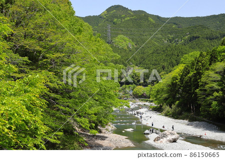 Fresh green Mitake Gorge 86150665