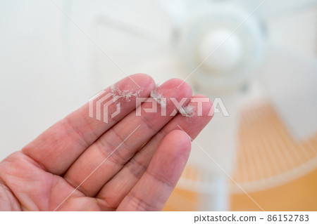 風扇清潔 86152783