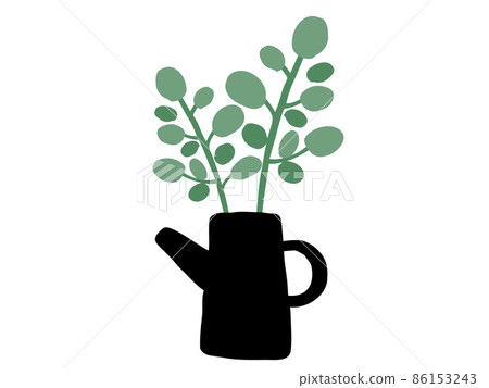 Cute botanical foliage plant / hand-drawn illustration K 86153243