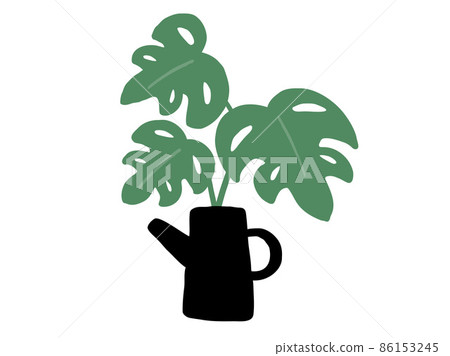 Cute botanical foliage plant / hand-drawn illustration K 86153245