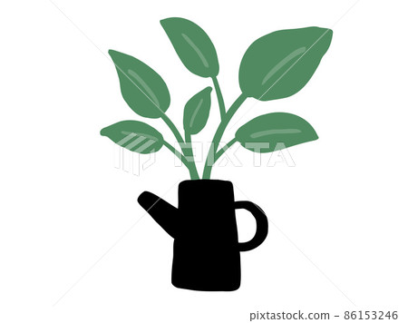 Cute botanical foliage plant / hand-drawn illustration K 86153246