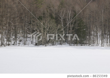 Lake Matsubara that has completely frozen 86153349
