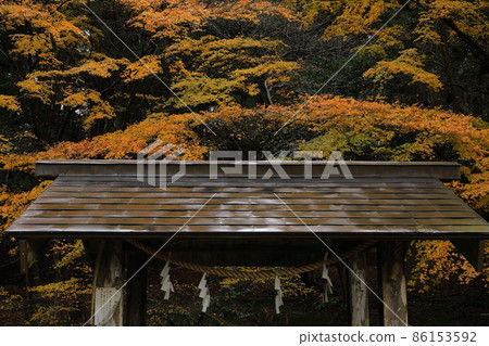 赤城神社秋葉 赤城神社秋葉 86153592