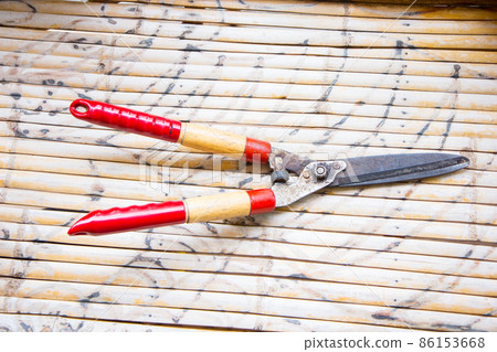 Grass Shears 86153668