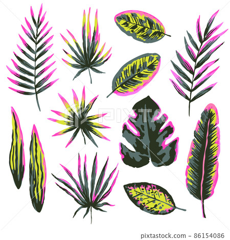 Set of artistic colorful modern tropical leaves and plants, isolated on white background. Set of artistic colorful modern tropical leaves and plants, isolated on white background. 86154086