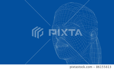 Wireframe portrait of a young beautiful girl Wireframe portrait of a young beautiful girl 86155813