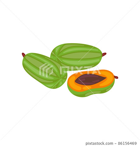 Fruit of the papaya, cut on a white background, isolated vector illustration Fruit of the papaya, cut on a white background, isolated vector illustration 86156469