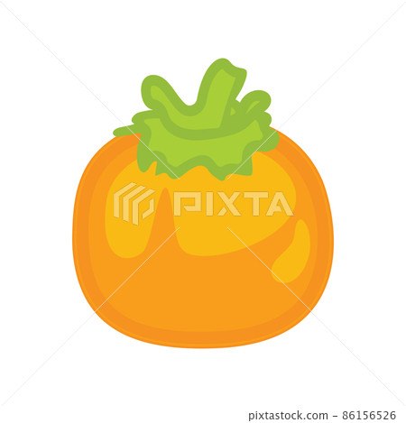 Illustration of a persimmon, fruit illustration, and vector illustration 86156526